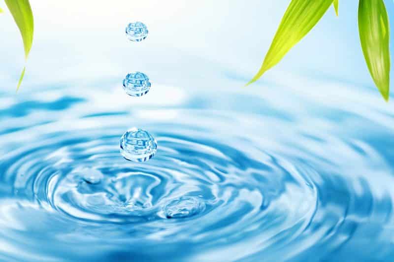 15+ Contoh Teks Rekaman Percobaan (lengkap dengan ciri