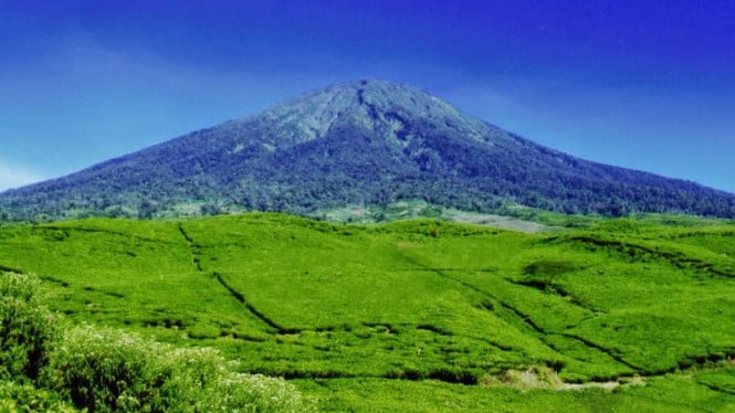 45 Gunung Tertinggi Di Indonesia Yang Indah Dan Wajib Di Kunjungi Sekolahnesia 