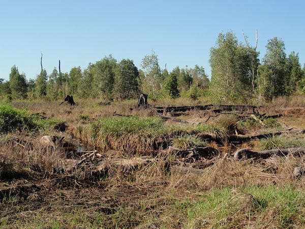 Fragmentasi dan hilangnya habitat Fragmentasi dan hilangnya habitat
